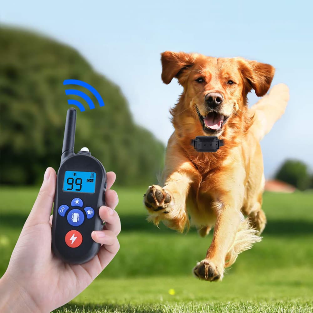 Dog training collar 600 yards with waterproof Rechargeable