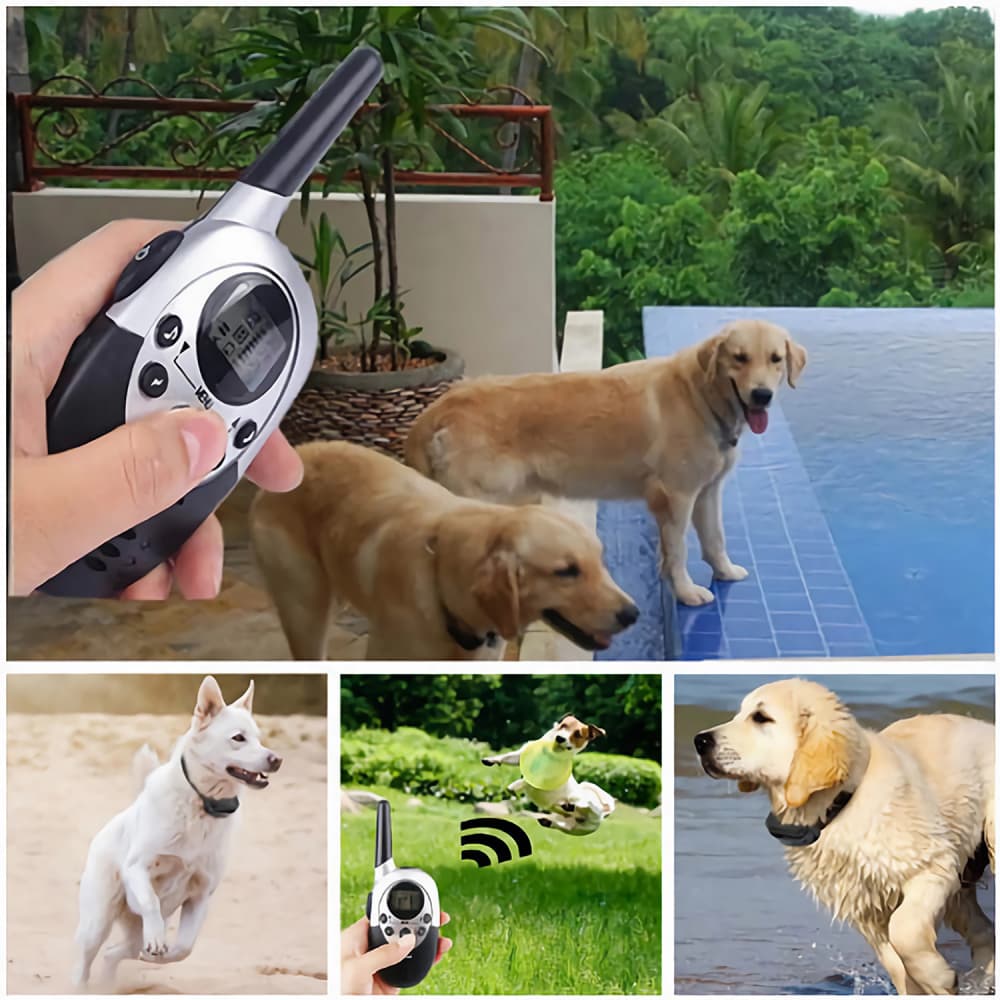 Waterproof Dog E-Collar Trainer with remote Rechargeable E-Collar for 2 Dogs