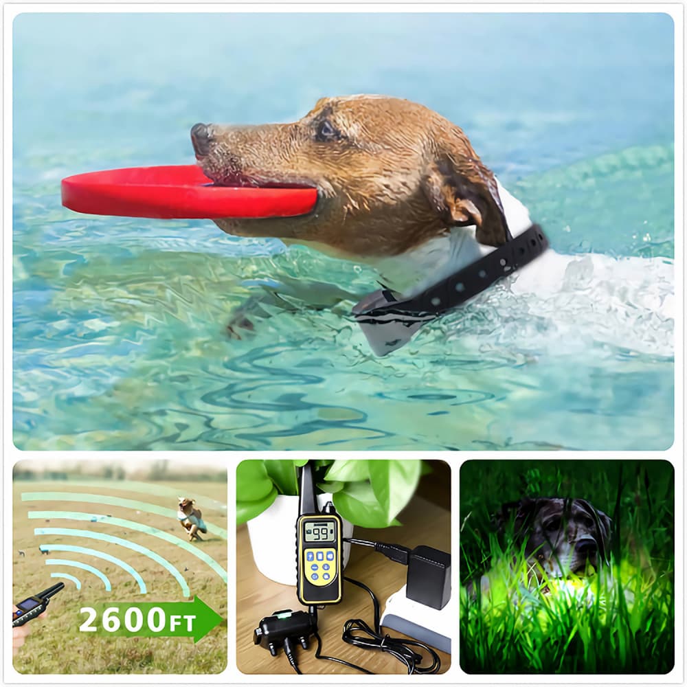 dog training collar 800M remote rechargeable and waterproof dog trainer