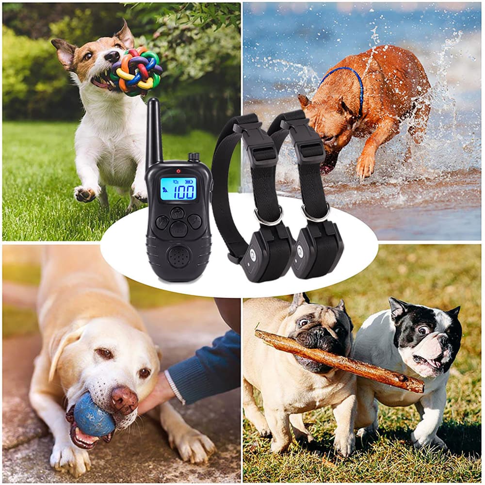 Dog Training Collars Electric Dog Collar 300m for 2 Dogs